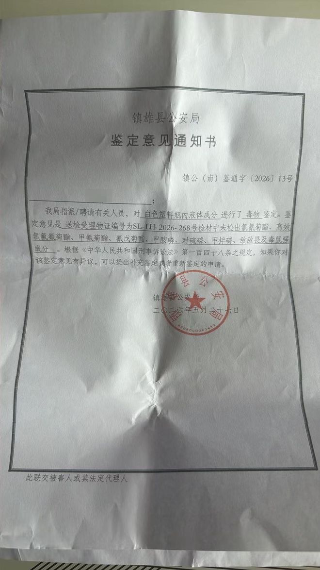 布局七年,伊利“篮”不住的热爱