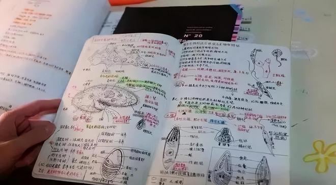 图赫尔:我们已经适应了这里的气候,现在状态很好